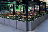 Pot de fleurs commerciaux