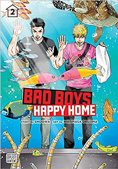 Bad Boys Happy Home Vol. 2