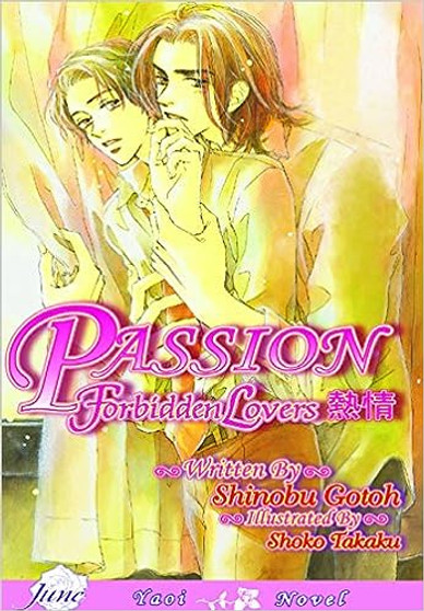 Passion Forbidden Lovers Novel (USED)