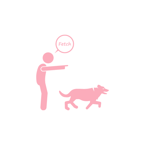 fetch.png