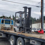 Shirley's Replacement