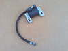 Ignition Coil for Briggs and Stratton 592335, 595554, 793449, 796499 &