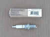 Champion Spark Plug XC92YC, 980