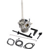 Carburetor for Simplicity L1528E, P1524E, L1730E, 794593, 796122