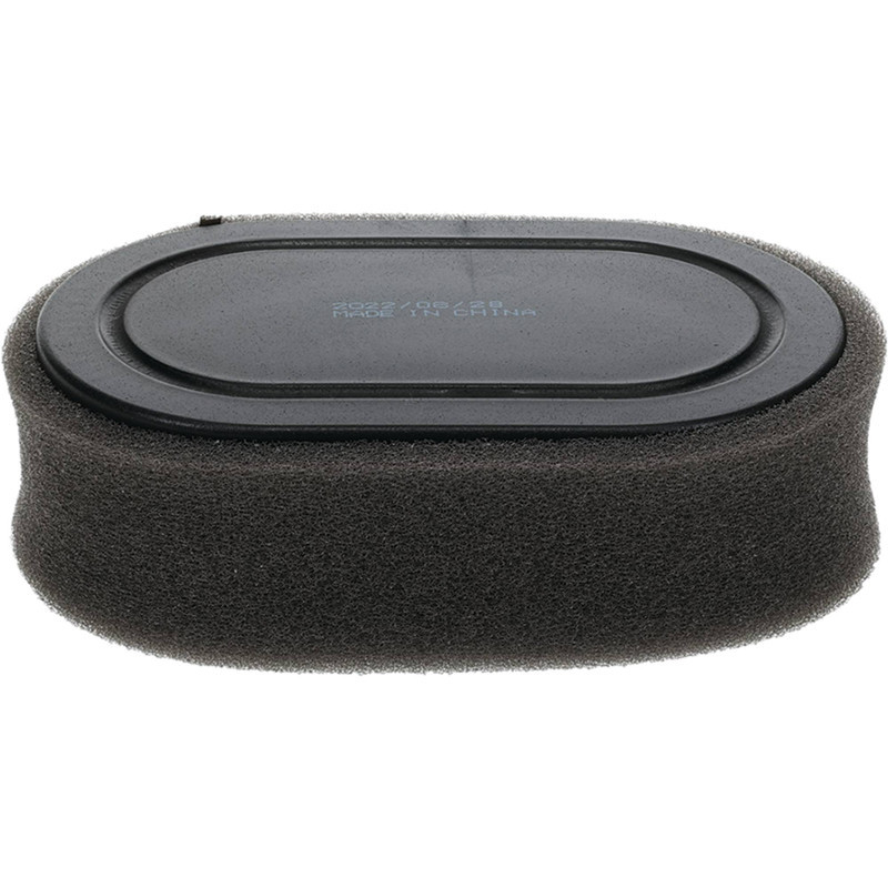 Briggs & Stratton Rasenmäher-Luftfilter 798452 593260 5432 5432K,A
