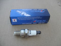 Spark Plug for Champion RZ7C