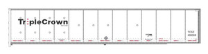 Bowser ~ HO Scale ~ RoadRailer 53' Trailer ~ TCSZ #466608 ~ 44205