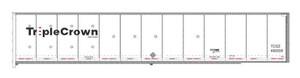 Bowser ~ HO Scale ~ RoadRailer 53' Trailer ~ TCSZ #466725 ~ 44210