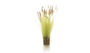Woodland Scenics ~ Peel 'n' Place Tufts ~ Brown Tipped Prairie Grass (20) ~ FS779