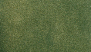 Woodland Scenics ~ Green Grass ~ Medium Roll (33" x 50") ~ RG5132