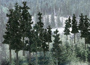 Woodland Scenics ~ Value Trees, Conifer ~ 4" to 6" (24) ~ TR1581