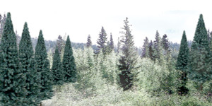 Woodland Scenics ~ Value Trees, Blue Spruce ~ 4" to 6" (13) ~ TR1588