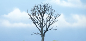 Woodland Scenics ~ Premium Dead Maple Tree, 4.25" ~ TR1614