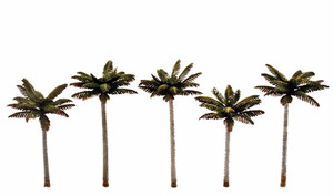 Woodland Scenics ~ Large Palm Trees (5) ~ TR3598