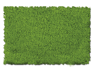 Scenic Express ~ Flock & Turf ~ Green Tones ~ 32oz ~ Spring Green ~ Fine ~ 810B