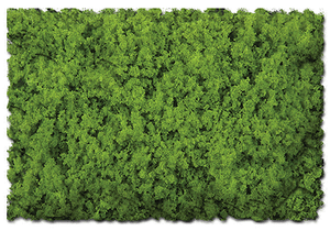 Scenic Express ~ Flock & Turf ~ Green Tones ~ 32oz ~ Spring Green ~ Coarse ~ 811B