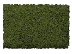 Scenic Express ~ Flock & Turf ~ Green Tones - 32oz ~ Burnt Green ~ Fine ~ 812B