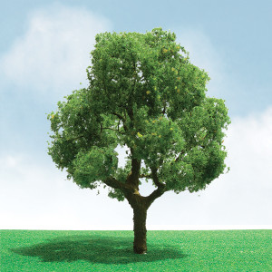 JTT Scenery Products ~ HO Scale ~ Pro Elite Trees : Deciduous 3" to 3.5 ~ 0592301