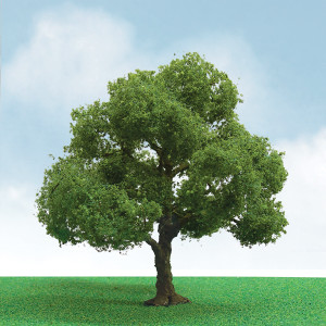 JTT Scenery Products ~ HO Scale ~ Pro Elite Trees: Elder 3" to 3.5 ~ 0592304