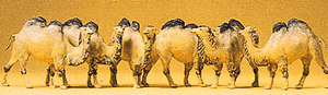 Preiser Kg ~ HO Scale ~ Animals ~ Camels (Bactrian, 2 Humps) ~ package(6) ~ 20383