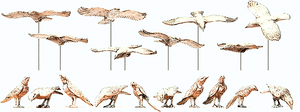 Preiser Kg ~ I Scale ~ Animals ~ Bird Assortment, Unpainted ~ 63335