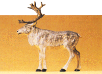 Preiser Kg ~ Wild Animal Figures, 1/24 - 1/25 Scale ~ Individual ~ Standing Reindeer ~ 47538