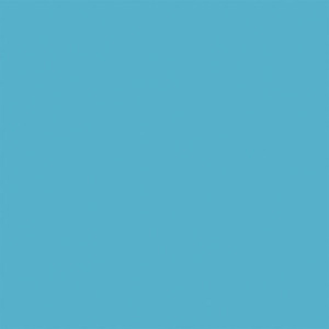 Testor Corp ~ All Scale ~ All-Purpose Enamel Paint ~ 1/4oz 7.4mL Bottle ~ Turquoise ~ 704-1107
