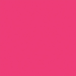 Testor Corp ~ All Scale ~ All-Purpose Enamel Paint ~ 1/4oz 7.4mL Bottle ~ Magenta ~ 704-1187