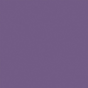 Testor Corp ~ All Scale ~ All-Purpose Enamel Paint ~ 1/4oz 7.4mL Bottle ~ Violet ~ 704-1189