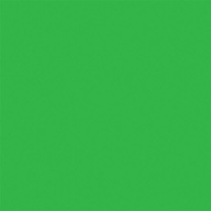 Testor Corp ~ All Scale ~ All-Purpose Enamel Paint ~ 1/4oz 7.4mL Bottle ~ Green ~ 704-1124