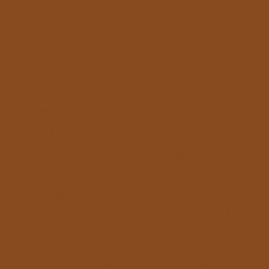 Tru-Color Paint ~ All Scale ~ Military Acrylic Colors ~ 1oz 29.6mL ~ (FS 30117) Mobility Equipment Research & Design Command MERDC Earth Red ~ 1409