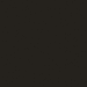Tru-Color Paint ~ All Scale ~ Military Acrylic Color 1oz 29.6ml ~ Dull Black No. 82 for U.S. Navy Ships ~ 1001