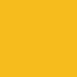 Tru-Color Paint ~ All Scale ~ Railroad Color Acrylic Paints ~ 1oz 29.6mL ~ Kansas City Southern Southern Belle Yellow ~ 300