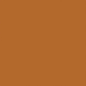 Tru-Color Paint ~ All Scale ~ Sprayable Matte Paints ~ 1oz 29.6mL ~ Aged Rust ~ 408