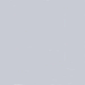 Tru-Color Paint ~ All Scale ~ Military Acrylic Color ~ 1oz 29.6mL ~ Light Compass Ghost Gray ~ 1202