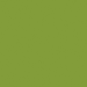 Tru-Color Paint ~ All Scale ~ Automotive Color High-Gloss Acrylic Paints ~ 1oz 29.6mL ~ Nitro Yellow Green ~ 553