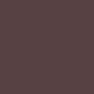 Tru-Color Paint ~ All Scale ~ Flat Brushable Color Acrylic Paints ~ 2oz 59.1mL ~ Roof Brown ~ 8232