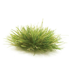 Woodland Scenics ~ All Scale ~ Peel 'n' Plant Tufts ~ All Game Terrain ~ Dark Green ~ G6627