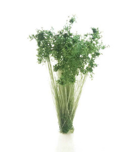 Woodland Scenics ~ All Scale ~ Peel 'n' Plant Tufts ~ All Game Terrain ~ Dark Green Shrubs ~ G6632