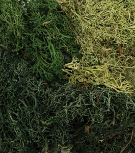 Woodland Scenics ~ All Scale ~ EZ Bushes ~ All Game Terrain ~ Summer Mix ~ 6501