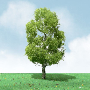 JTT Scenery Products ~ HO Scale ~ Pro-Elite Trees: Birch 3.5 - 4" - 2pcs ~ 92309