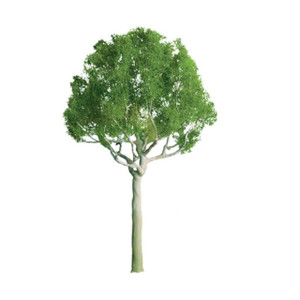 JTT Scenery Products ~ Professional Trees: Round Head 1" - 6pcs ~ 94249