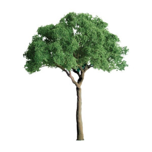 JTT Scenery Products ~ Professional Trees: Green Jacaranda 2.5" - 3pcs ~ 94287