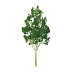 JTT Scenery Products ~ Professional Trees: Mountain Gum 1.5" - 6pcs ~ 94302