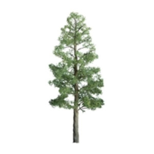JTT Scenery Products ~ O Scale ~ Professional Trees: Pine 8" - 1pcs ~ 96027