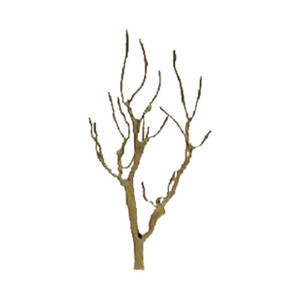 JTT Scenery Products ~ HO Scale ~ Professional Trees Pro Armature: Mountain Gum 3" - 4pcs ~ 94106
