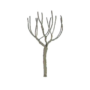 JTT Scenery Products ~ N Scale ~ Professional Trees Pro Armature: Round Head 2.5" - 4pcs ~ 94109