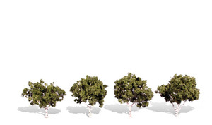 Woodland Scenics ~ Waters Edge Trees ~ 2 to 3" Tall ~ pkg(4) ~ TR3533