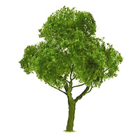 JTT Scenery Products ~ Deciduous Tree ~ 5-1/2" / 14cm Tall ~ 96029