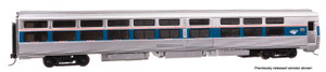 WalthersProto ~ HO Scale ~ 85' Budd Viewliner Sleeper ~ Lighted ~ Amtrak #62040 ~ 920-12320